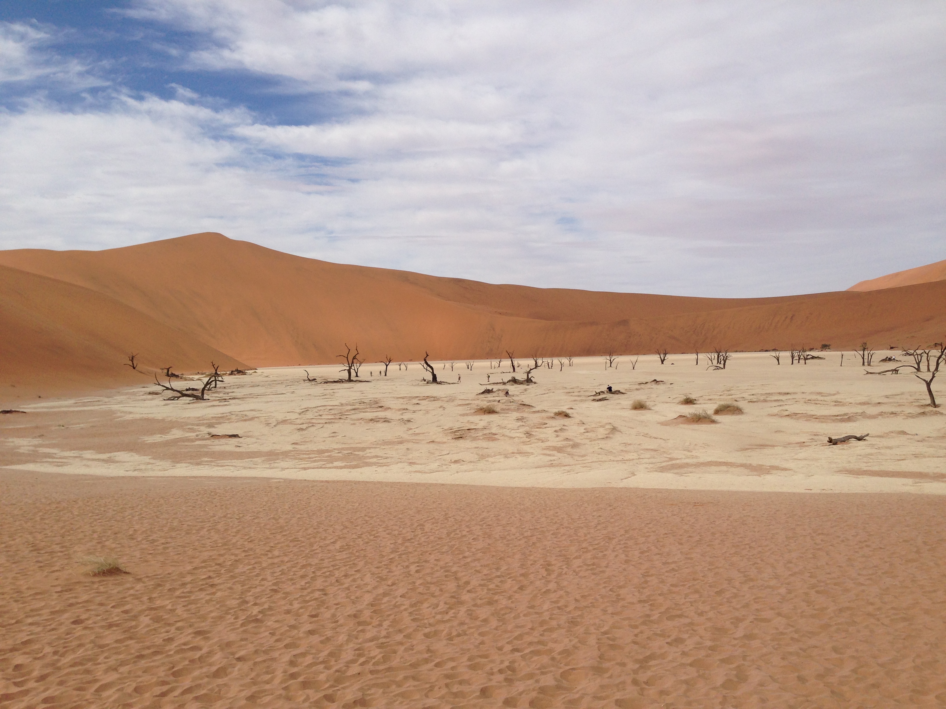 17 Day Namibia & Kruger Safari